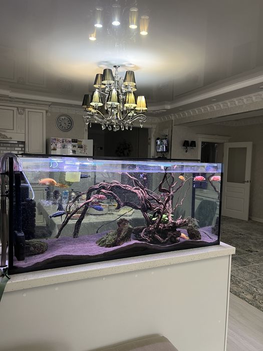 Аквариум 320 л с рыбками в полном комплекте