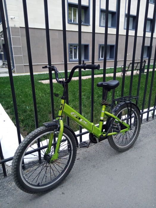 Велик фирма барс