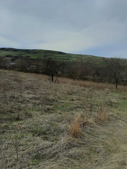 Casa batraneasca,Rusenii de Sus, Com.Plopana