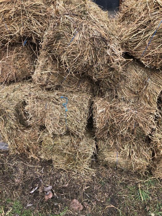 Baloți lucernă, semănătură și iarbă de coastă
