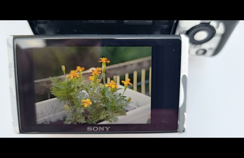 Sony Alpha A6600 Aparat Foto Mirrorless 24.2 MP 4K Body