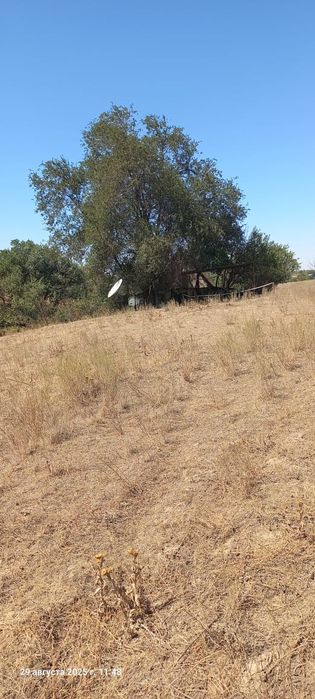 Участок сатылады ,6 соток