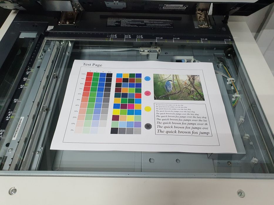 Konica Minolta Bizhub C364e COLOR