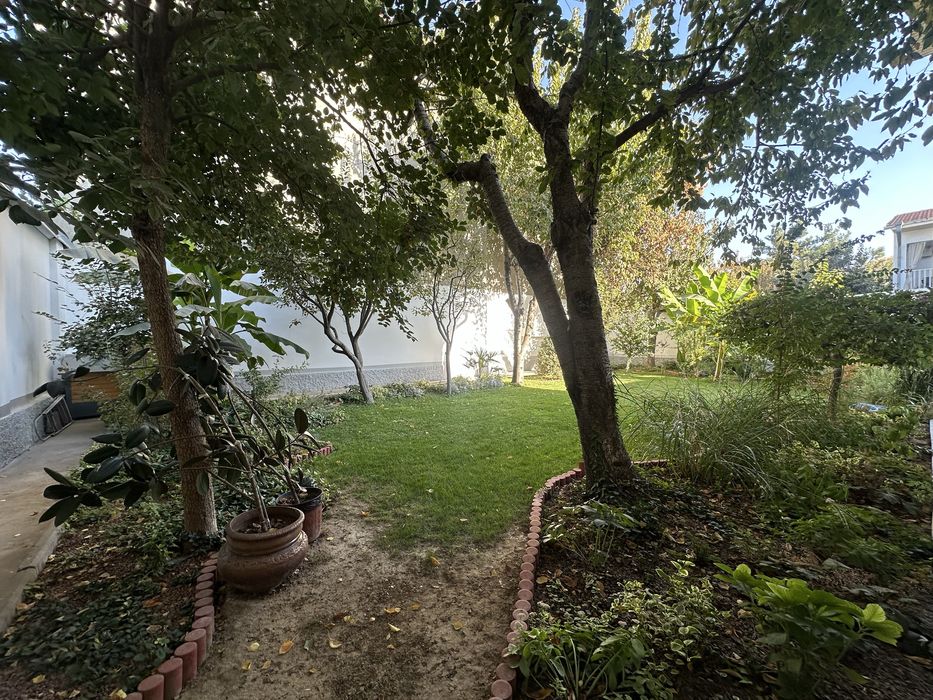 Сдаётся евродом с большим зелёным садом, ориентир улица Никитина