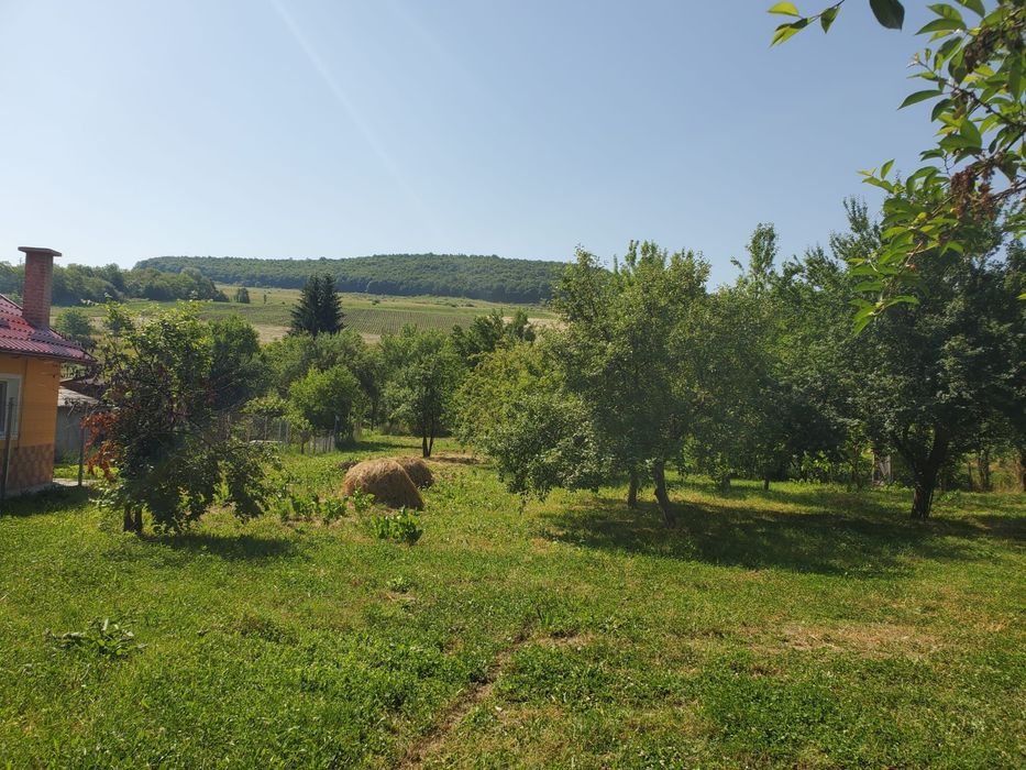 Casa de vanzare individuala .