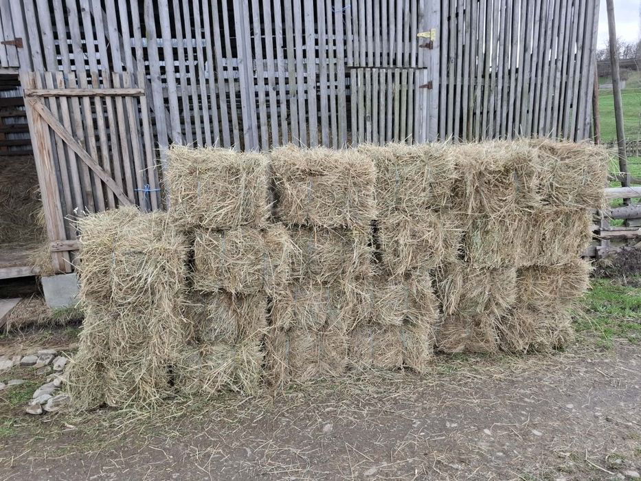 Baloți de semănătură