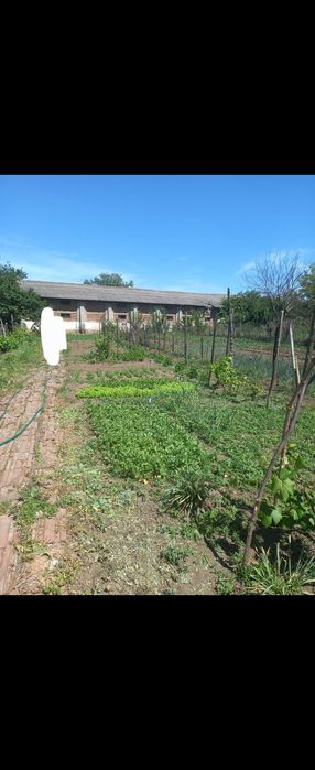 CASA batraneasca DE VANZARE