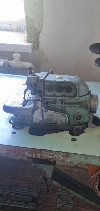 Продам Швеини машинка, Істеп тур