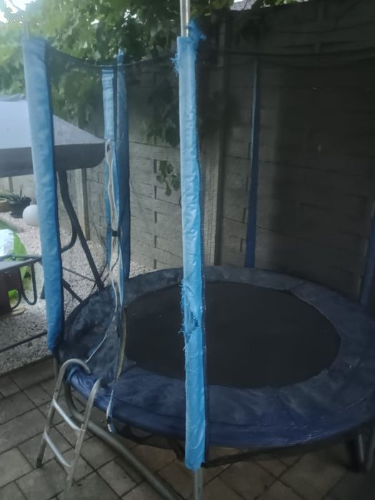 Trambulina Mappy 183cm cu plasa de protectie si scara