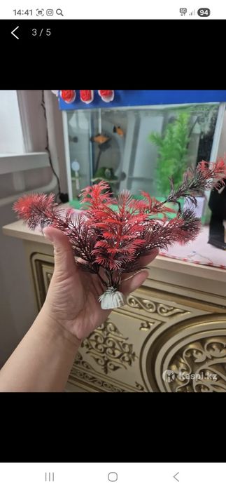 Аквариум с рыбками