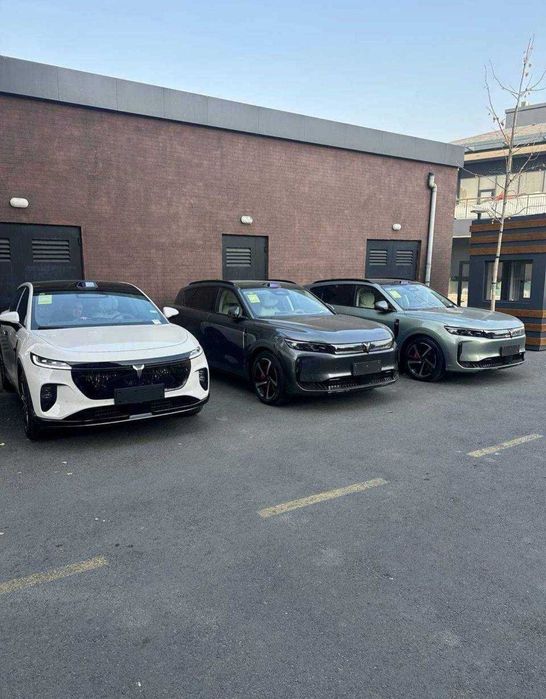 voyah kourij 901probeg yuradi