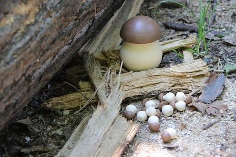 Деревянная игрушка счётный материал