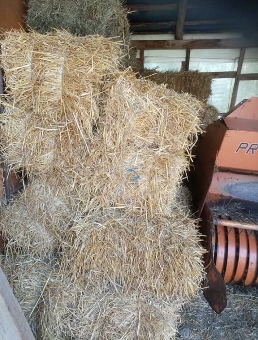 Vand baloti de fan, otava, paie.