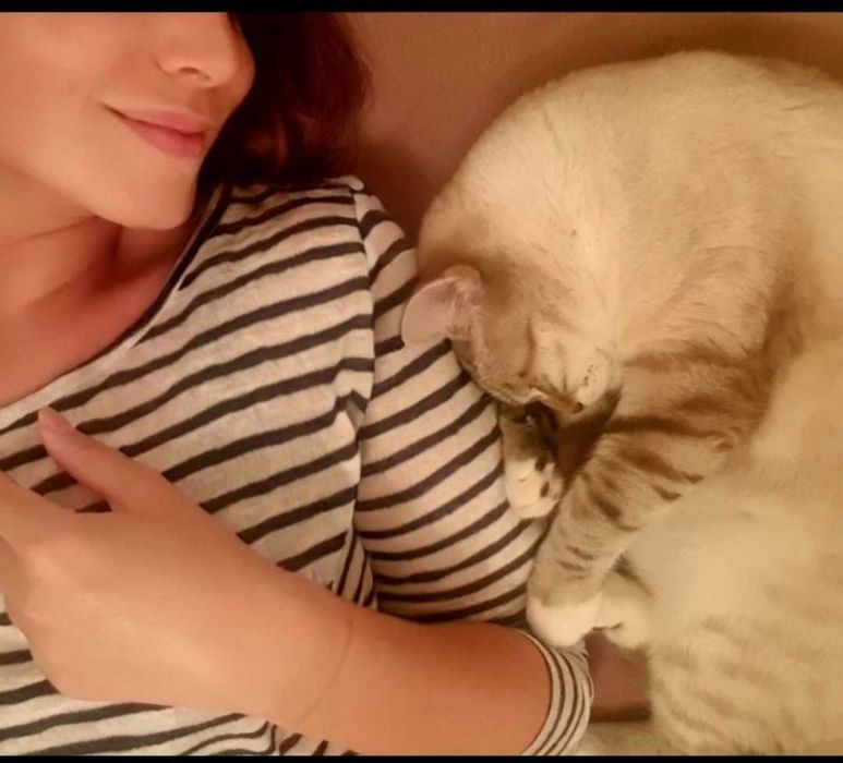 Pet Sitter București. Extra cuddles included