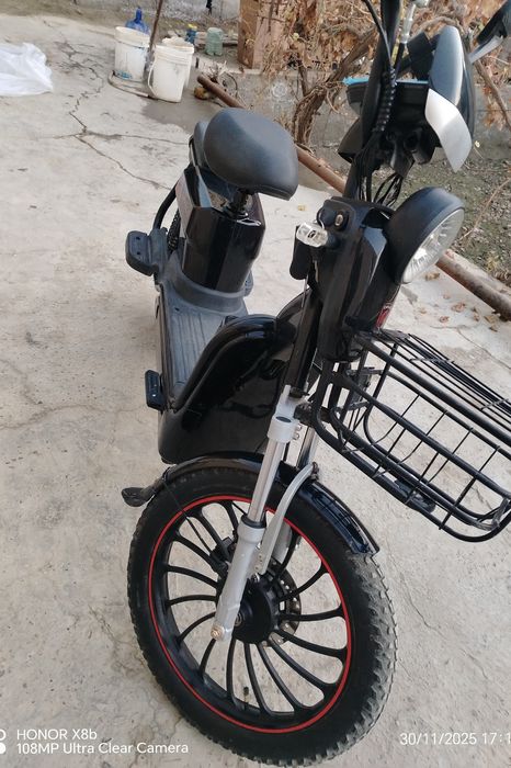 Елктир велик сотилади