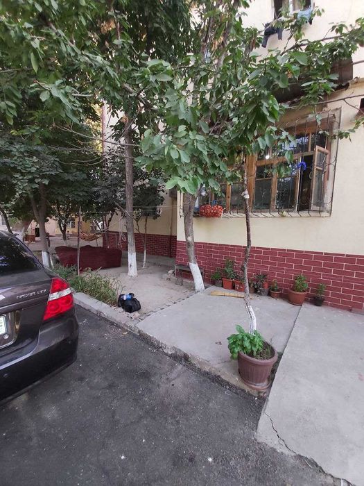 Нархи тушди Срочно яна келишилади Юнус-Обод Ботаника Боғи яқинида