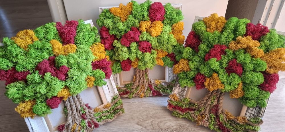 Дървото на живота от скандинавски мъх различни размери в рамка