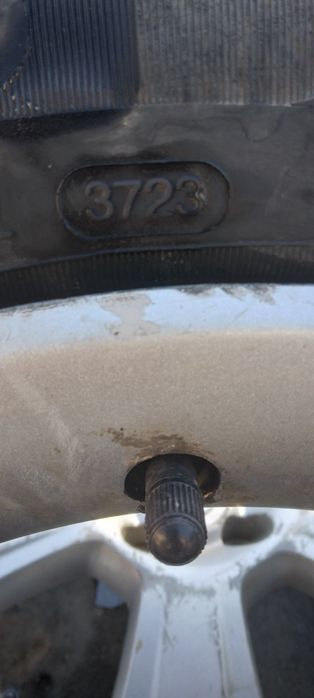 Vând schimb Genți aliaji