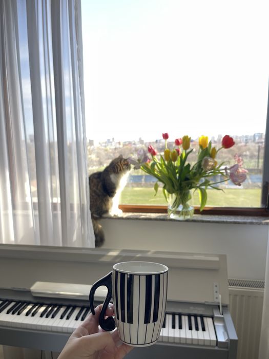 Cursuri de pian -Constanta