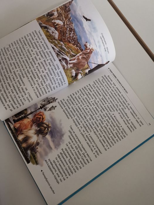 Енциклопедия за кучетата, дефектна корица