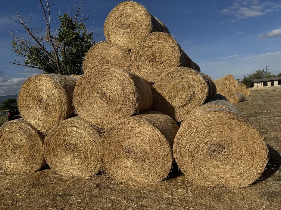 Бали люцерна, овес смески със грах сено