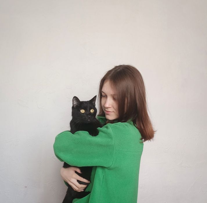 Передержка кошек в квартирных условиях