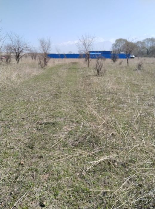 Земельный участок