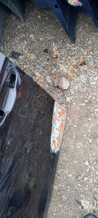 Предна лява врата сеят леон