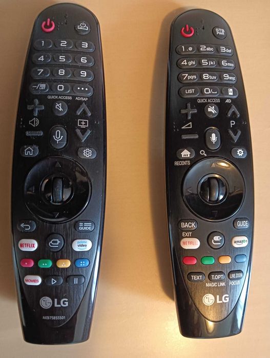 LG Magic Remote, Mouse Pointer și Comanda Vocala