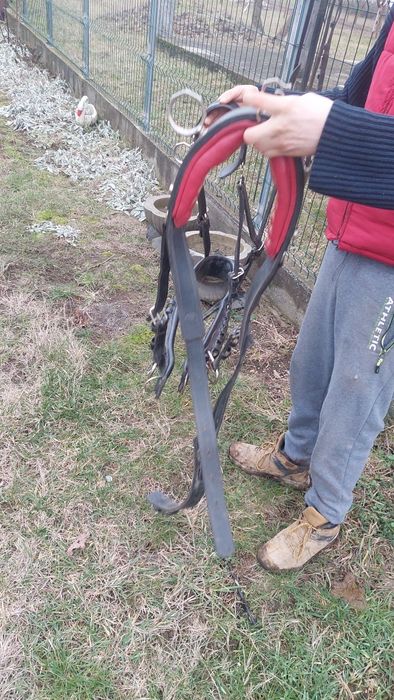 Vând o pereche de hamuri foarte frumoase purtate Foarte puțin