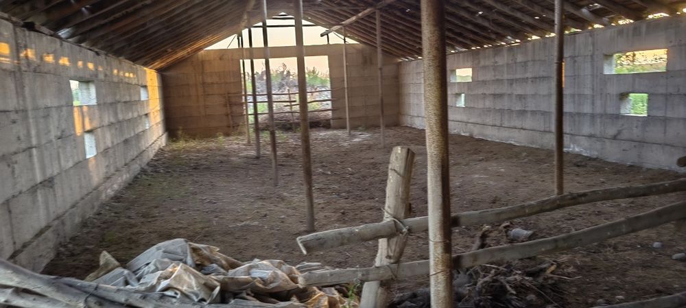 Фуркат тумани Куконбойда молхона сотилади