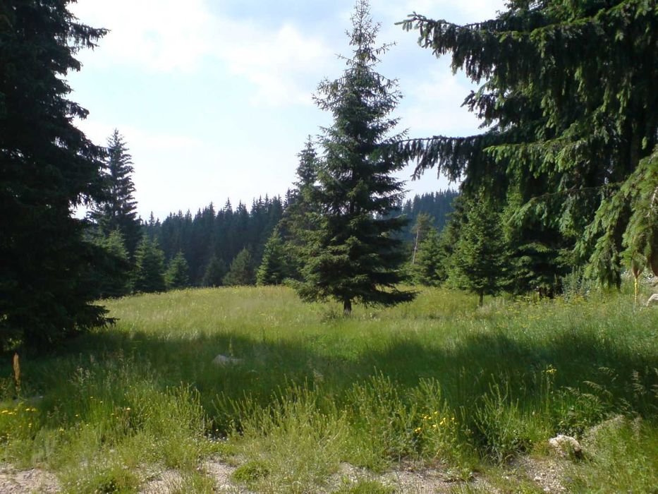 Продава се Парцел в Пловдив, Старият град - 3565 кв.м за 20 €/кв.м - Снимка #4