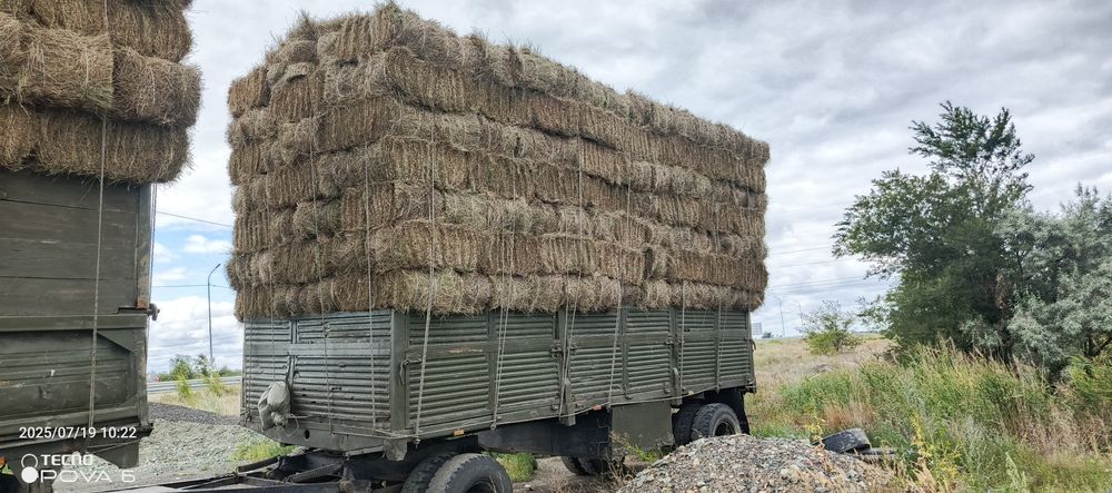 Шөп! Сено разнотравье