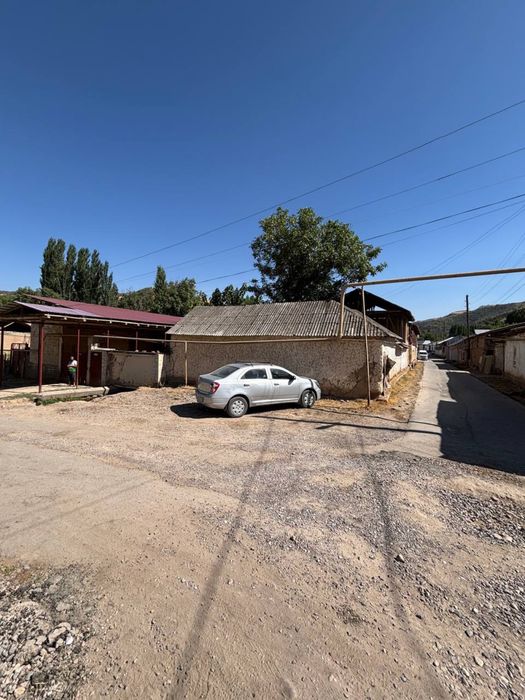 Bostoniq qoramozorda 9 sotik