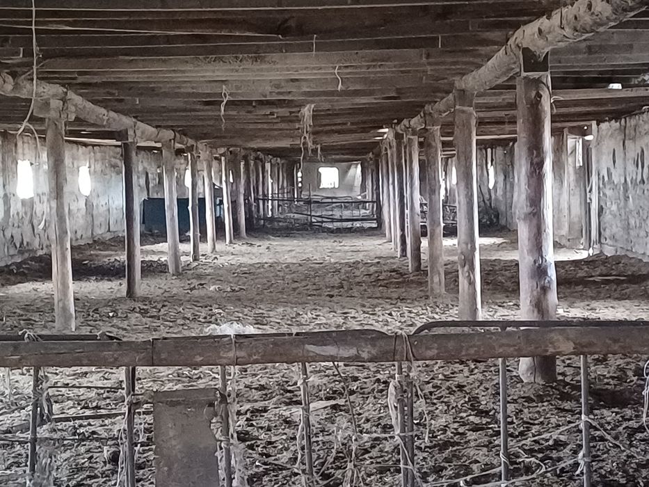 Продам крестьянское хозяйство.