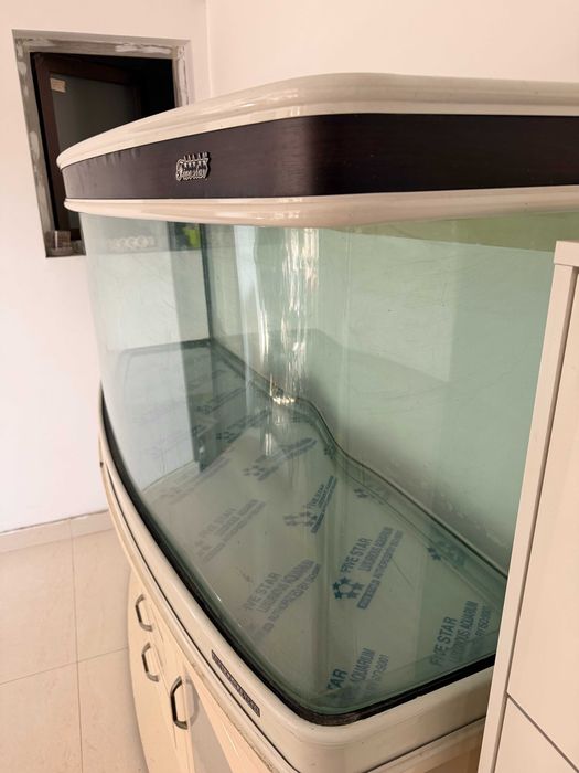 acvariu 480 L, sticla curbata