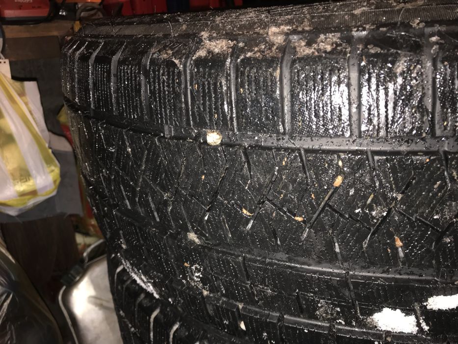 Шины  зимние R220 а идеале