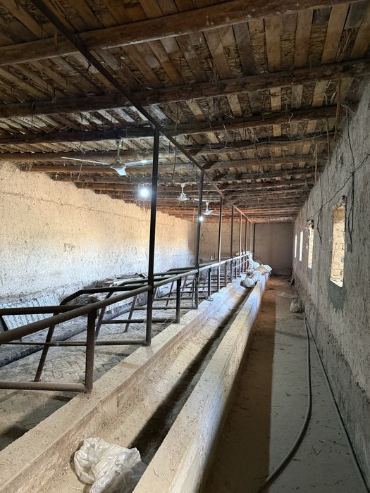 Участок (ферма), сад свой