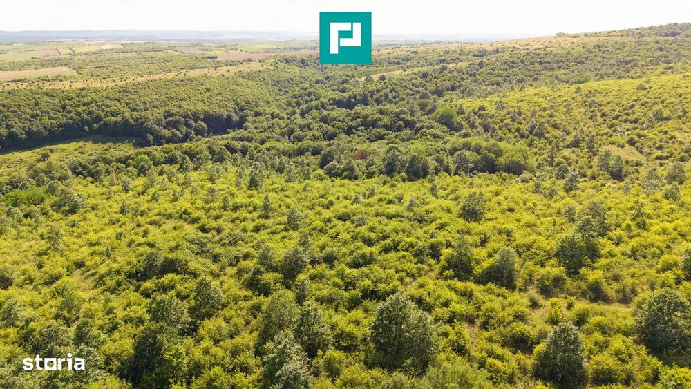 Teren Agricol Extravilan  22.900 Mp Lipova