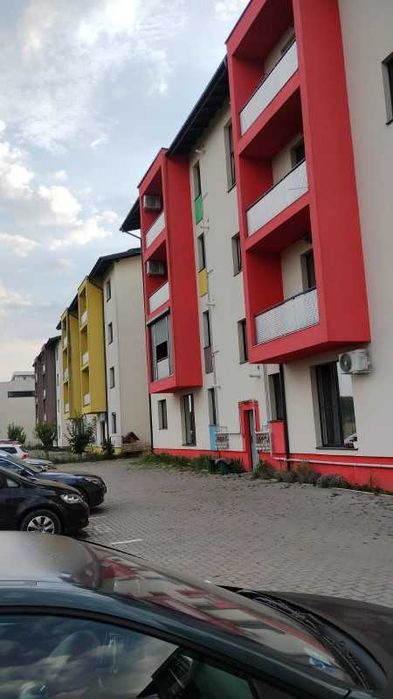 Zugrav profesionit ofer sevici