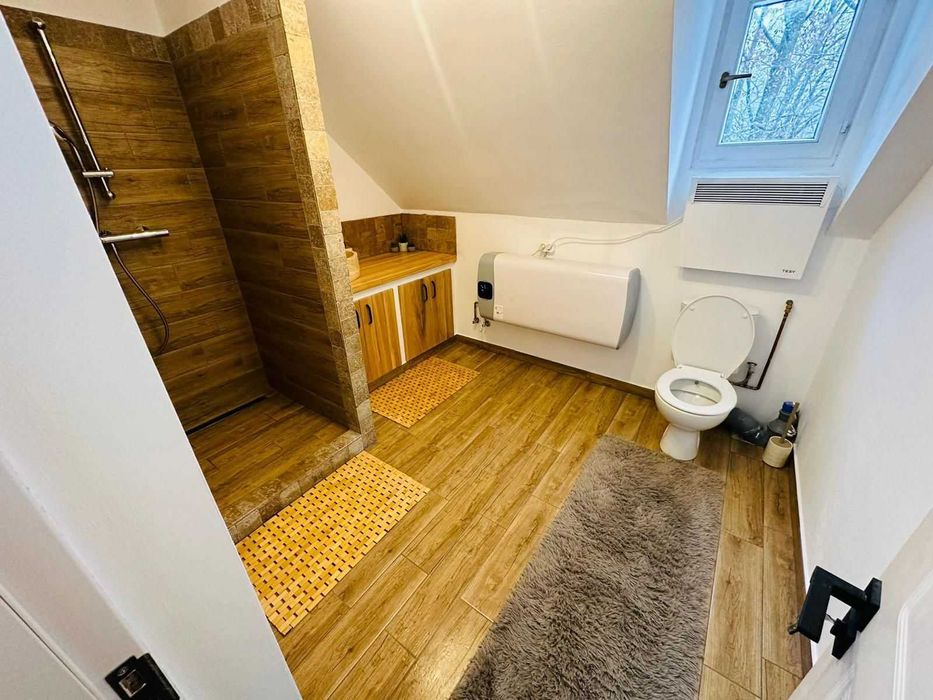 Casa lui Gruia, cabana