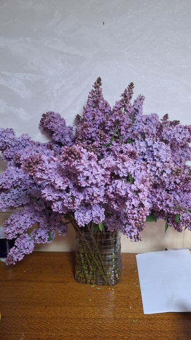 Букет сирени продам