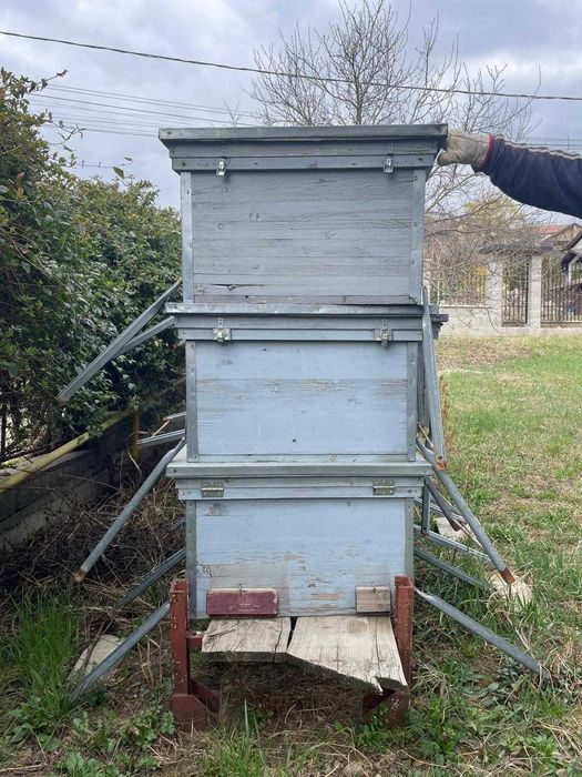 Vând cutii stupi de albine