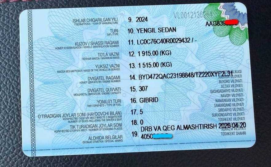 BYD chazor 2024 gibrid