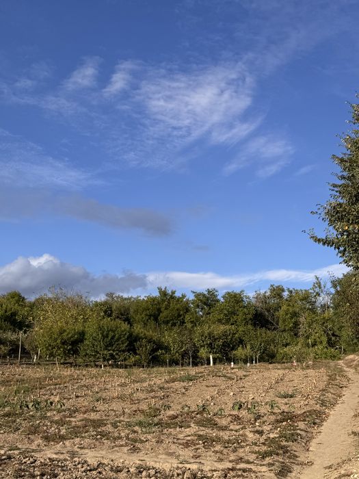 Casa de vanzare plina de viata! Nu ratati aceasta ocazie!