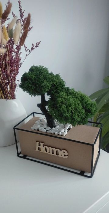 Bonsai din licheni