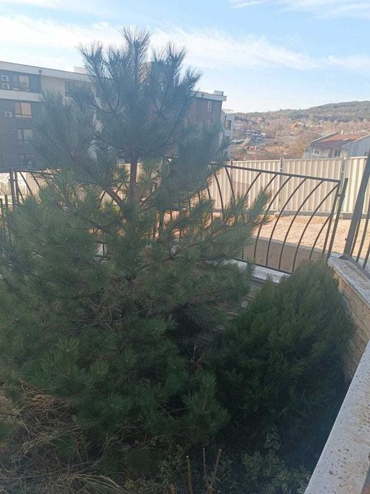 Продава се Двустаен апартамент в Варна, Виница - 56 кв.м за 984 €/кв.м - Снимка #8