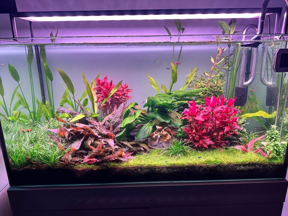 Аквариум на 180 литров