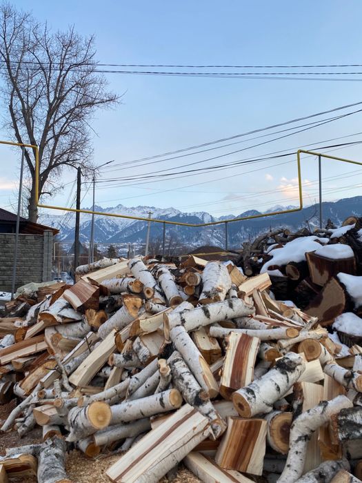 продам Березу дрова