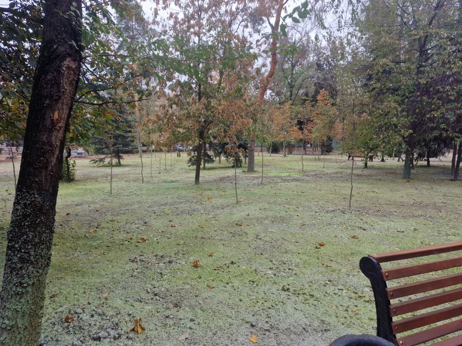 Гидропосев  газона